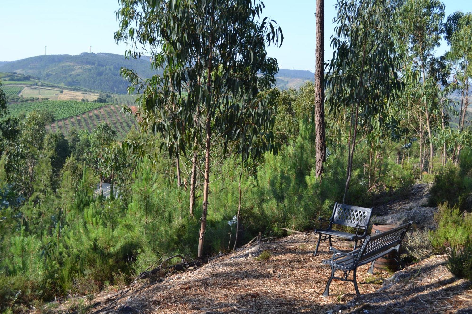 Mountview Alenquer Exterior foto